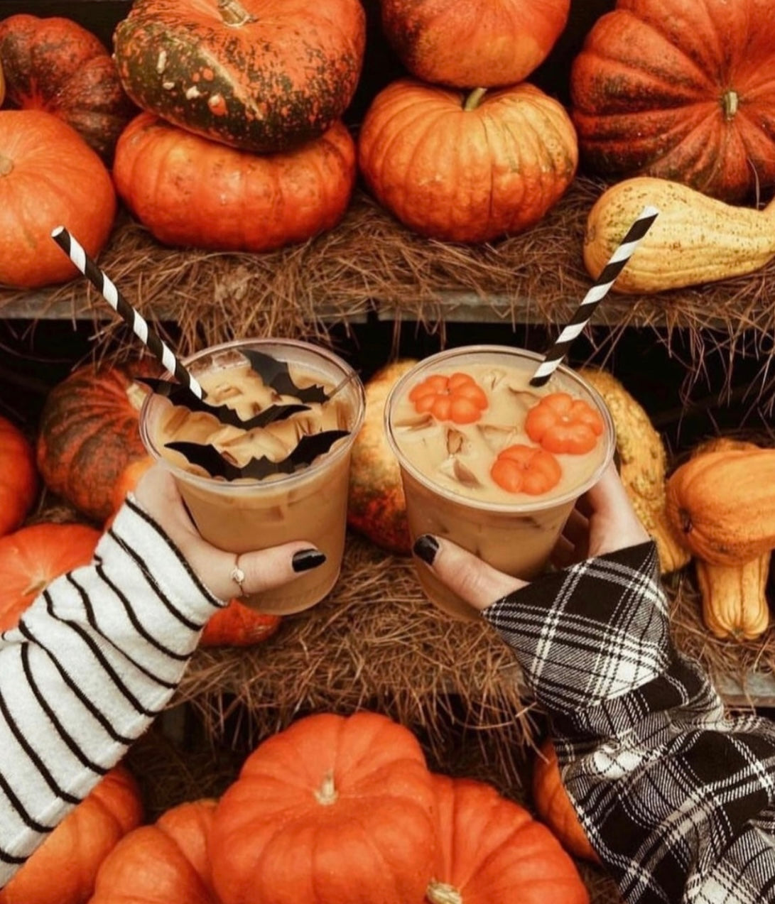 The Fall Collection